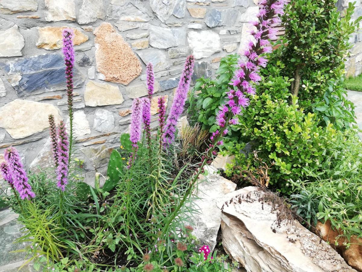Olympus Country House Karia  Exterior foto